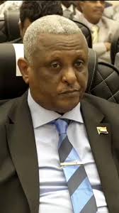 استعدوا لفيديوهات جديدة من مافي العرب!