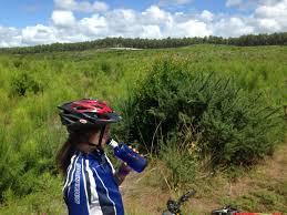 Faites vos courses en ligne chez carrefour belgique au meilleur prix en magasin, en livraison à domicile ou en point retrait. South West France Landes De Gascoyne Bayonne To Arcachon Via Ondres Hossegor Vieux Boucau Les Bains Soustons The Fete Vielle Saint Girons Contis Sainte Eulalie En Born Gastes Biscarrosse Nute Families Euro Trip 2017