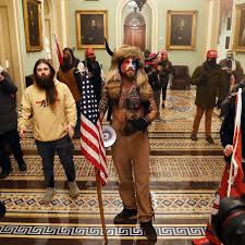 At least 20 qanon followers have been charged with federal crimes. How Trump Supporters Planned The Capitol Riot Online Vox