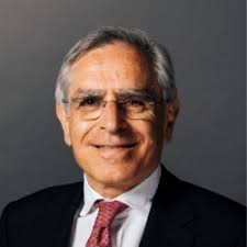 Professor Helen Rees