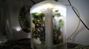Cakep tank cupang sultan full acrylic. Aquarium Dari Barang Bekas Youtube