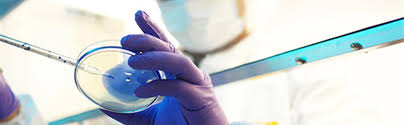 Уряд продовжив карантин в україні до 30 квітня 2021 року. Coronavirus Covid 19 Quarantine As A Force Majeure In Ukraine What Does This Mean For Business Lexisnexis Blogs