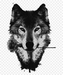 I am going tobe drawing lots of wolves soon, and this tutorial will help me a great deal; White Wolf Drawing Wallpaper