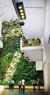 university of guelph humber nedlaw living walls living wall wall light architecture