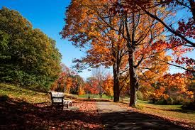 Here Are The Top 11 Unusual Things To See In Washington Dc Travel Earth