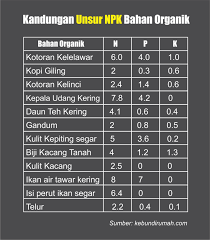 Cara buat nya sangat mudah rebus daun jeruk yang sudah di keringkan dan batang sere yang sudah di gebrek. Cara Membuat Pupuk Perangsang Daun Lombok Organik