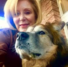 🚨 Reminder: Montana is proposing wolf hunting regulations that could allow  up to 500 wolves to be killed in one season. Hunters could take 30 wolves  each: 15 by trapping and 15