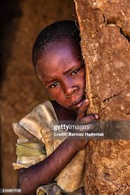 917 Bugs Tribe Stock Photos, High-Res Pictures, and Images