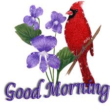 Giphy links preview in facebook and twitter. Animated Beautiful Good Morning Birds Unique Rare Bird