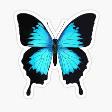 Maybe you would like to learn more about one of these? Ulysses Butterfly Gifts Merchandise Redbubble