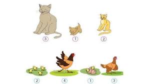 Dec 19, 2020 · kunci jawaban tema 6 kelas 4sd atau mi buku tematik subtema 1 pembelajaran 3 kurikulum 2013 edisi revisi 2017, halaman 25, 26, 27, 28, 30, 31, dan Kunci Jawaban Buku Tematik Kelas 4 Tema 6 Cita Citaku Kunci Jawaban