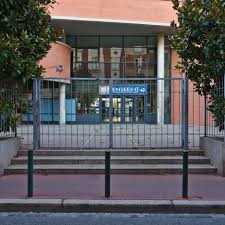 Professeur de droit public à l'université toulouse 1 capitole, à l'institut maurice hauriou et directrice adjointe de l'iferiss (faculté de médecine de toulouse) ; Enseeiht Wikipedia