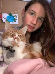 Help find owner of young orange cat