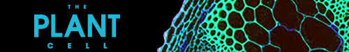 Cell is a tiny structure and functional unit of a living organism containing various parts known as organelles. Archive Of The Plant Cell