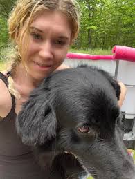 Pet grooming for you