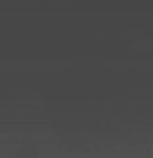 Image result for Chamaeclitandra henriquesiana