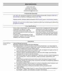 Understanding of financial accounting systems, preferably sap and peoplesoft. Technical Project Manager Business Systems Analyst Resume Example Company Name Phoenix Arizona