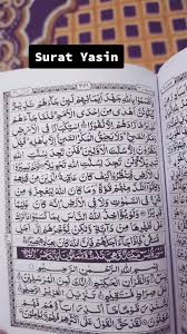 Aplikasi ini merupakan aplikasi surat yasin lengkap berserta manfaat, fadilah dan keutamaan. Entdecke Beliebte Videos Von Surat Yasin Full Tiktok