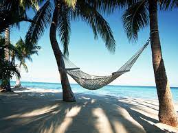 Hammock On The Beach With Good Book Most Beautiful Beaches Cheap Beach Vacations Beautiful Beaches