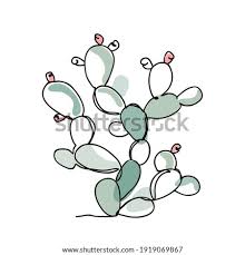 Learn how to draw a cactus like this simple version, and then turn it into a lovely watercolor resist painting. Nopal Drawing At Getdrawings Free Download