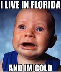 North Port Neighbors