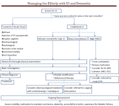 Managing The Elderly With Urinary Incontinence And Dementia