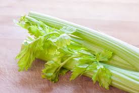 Image result for Apium graveolens