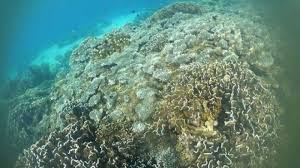 We did not find results for: 5 Laut Terdalam Di Dunia Termasuk Laut Yang Berbatasan Dengan Indonesia Tribun Manado