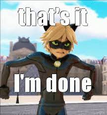 Chat Is Not Amused Miraculous Ladybug Funny Miraculous Ladybug Anime Miraculous Ladybug Memes