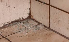 More information can be found about asp on our website, asphome.org Mold Dangers In Mobile Homes