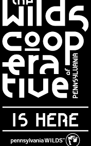 Marilyn Blackmore retires as Executive Director of Art in the Wilds