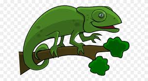 Iguana Clipart Free Images Iguana Clipart Stunning Free Transparent Png Clipart Images Free Download In this category iguana we have 13 free png images with transparent background. iguana clipart free images iguana