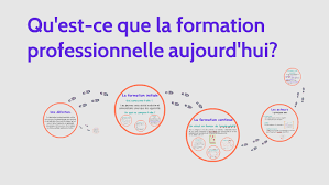 Au regard de la conjoncture actuelle, la formation professionnelle est un vecteur de développement non négligeable, aussi bien pour les entreprises que alors que l'entreprise gagne en performance tout en enrichissant l'offre qu'elle propose à sa clientèle, les salariés développent et actualisent leurs. Presentation Formation Professionnelle By Laurence Pommeraud