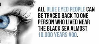 We did not find results for: 31 Interesting Facts About The Eyes Every Human Should Know