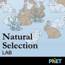Natural selection examples in humans, animals, and plants.full guide to natural selection with plenty of examples brought to you by homework lab tutors! Natural Selection Science Games Legends Of Learning