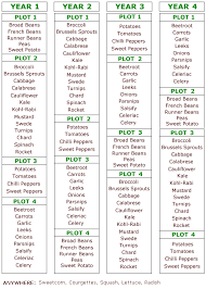 Crop Rotation Plan Vegetable Garden Planning Crop Rotation Allotment Gardening