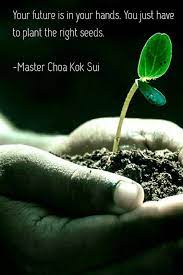 Quotes About Planting Seeds For Life 06 Quotesbae