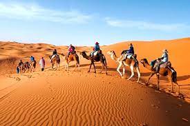Camel ride in marrakech has been a tremendous source of recreation. Camel Ride Marrakech Tour Half Day Book Now Tripguru