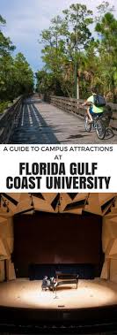 14 Best College Images In 2018 Florida Gulf Coast