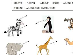 Match body parts with actions you can do with them. Animal Body Parts Worksheet