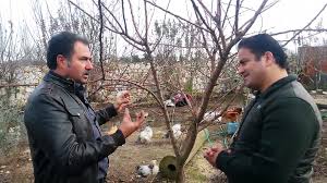 Sonbaharda yağmurların başladığında dikim işlemleri yapılabilir, bunun için tarih olarak 21 ekimde ağaç dikimine sonbahar yağmurları, ağaç ve bodur ağaçların dikimi için en uygun zamanı bildiriyor. Bir Agac Baska Bir Yere Nasil Tasinir Ve Dikilir Video Dailymotion