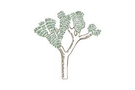 Download Joshua Tree Svg Cut File By Creative Fabrica Crafts Creative Fabrica SVG Cut Files