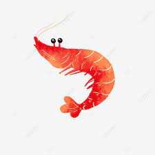 Cartoon Delicious Prawn Design Vector Material Shrimp Food Seafood Png Transparent Clipart Image And Psd File For Free Download Clip Art Cartoon Clip Art Clipart Design