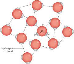 How do water molecules bond to each other? Hydrogen Bonding Between Water Molecules Course Hero
