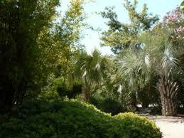Imagen de jardin exotique, ponteilla: Jardin Exotique Ponteilla Destimap Destinations On Map