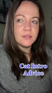 Cat Introduction Advice for Cat Lovers