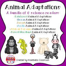 Animal Adaptations A Bundle Of 6 Science Readers From Kinesthetic Classroom Animal Adaptations Science Readers Adaptations Science