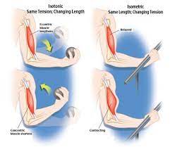 Forearm Specific Strength Training Racer X Virtual Trainer Isometric Exercises Physical Therapy Assistant Physical Therapy