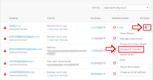 Click on manage domains on the left hand side. 1and1 Ionos Transfer Away Knowledgebase Avatava