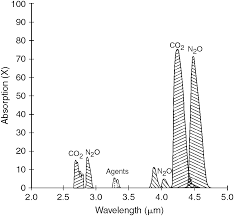 Gonzalez del rey introduction measurement of variations in the measurement of exhaled co2 at the level of the upper airway at the end of the expiration (when… in recent years, the colorimetric etco2 detector has become available, which. Carbon Dioxide Measurement Chapter 37 Capnography